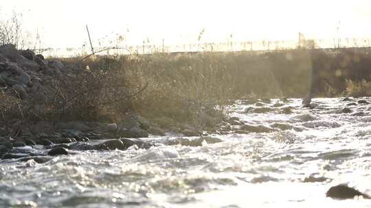 水波翻涌的自然河流景象