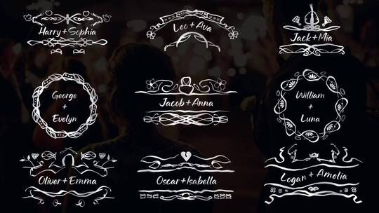经典简洁的婚礼标题动态动画婚礼纪念视频电视节目标题AE模板