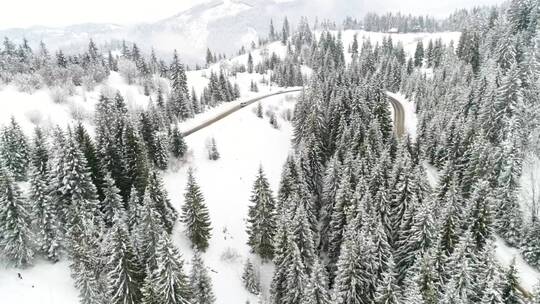 白雪覆盖的山上道路