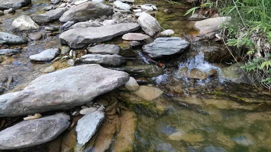 4K拍摄山谷中的溪水