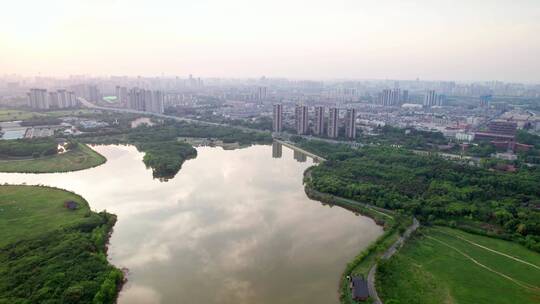 成都青龙湖湿地公园视频素材模板下载