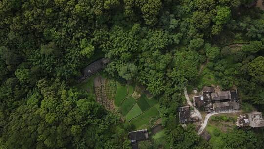 村落航拍 钦州 自然 绿色 山林 原始次生林2