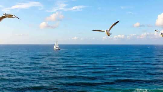 海面上飞翔的海鸥与帆船