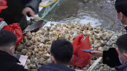 海鲜市场顾客挑选购买大螺采购海螺