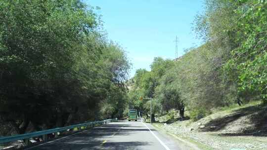 森林开车第一视角树林山路行驶公路远途风景