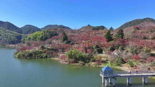 幸福水库 唐田村