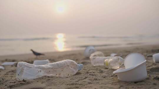 沙滩上的塑料瓶视频素材模板下载