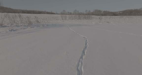 雪地脚印轨迹航拍