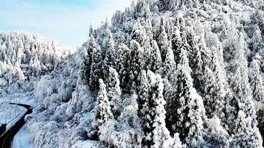 丰都南天湖、雪山，南方的冬天、家乡的美