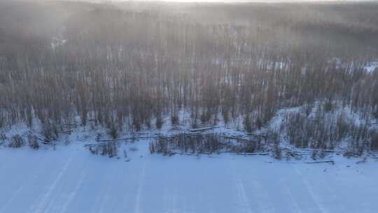 航拍冷空气笼罩的雪原树林