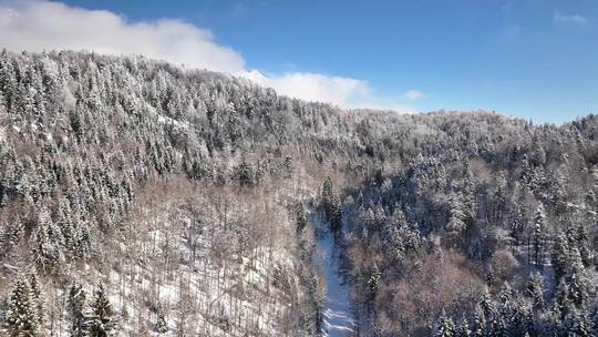 航拍冬天大雪后的森林小道