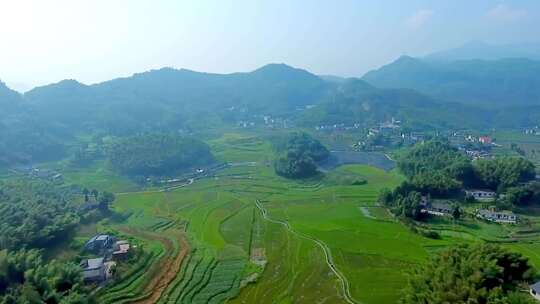 农业公园  现代农业园区 稻田大米 土地肥沃