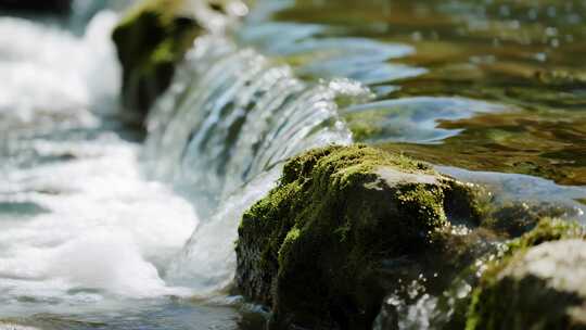 四川小暑溪流青苔清新自然特写视频