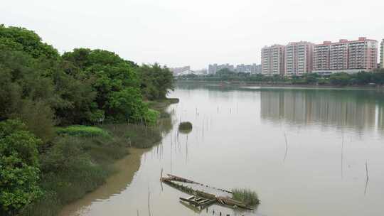 丰水期的河流航拍