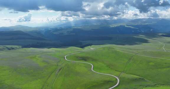 新疆北疆伊犁喀纳峻大草原鲜花台高空航拍
