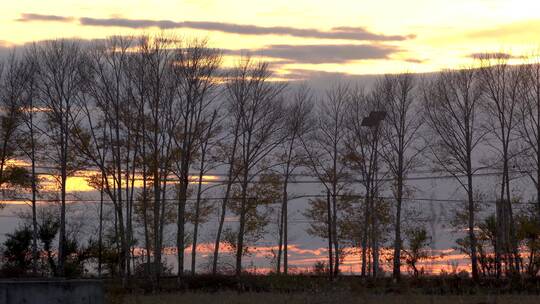 冬季夕阳落日车流公路树林转场空境延时缩时