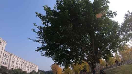 四川成都 电子科技大学清水河校区校园风光