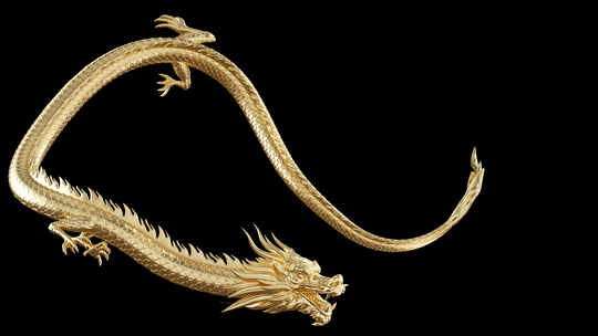 金龙飞舞有通道