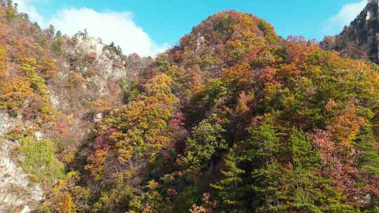 南阳老界岭秋景风光