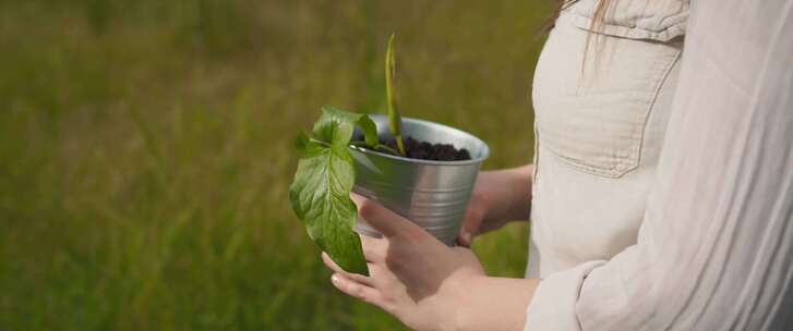 女人在田野里提着植物走路