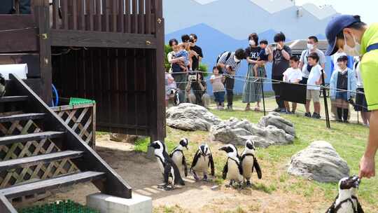 名古屋港公共水族馆