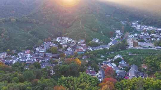 唯美杭州西湖龙井茶文化景区航拍茶园地茶叶