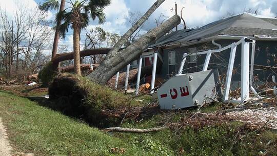 飓风导致树倒在了房子上路边的工人在维修线路