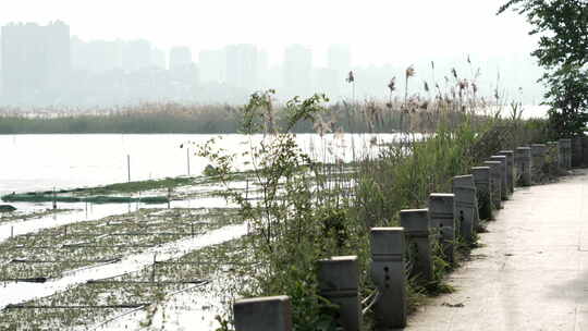 武汉洪山区湖滨公园