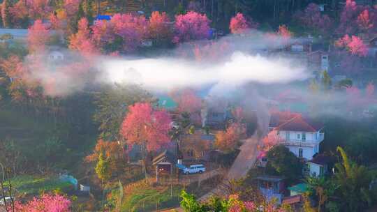 美丽的乡村延时