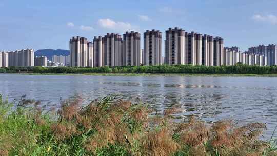 城市天际线楼房居住生态环境河流天空