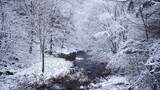 冬天雪景树林雾凇高清在线视频素材下载