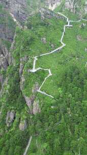 竖版航拍湖北神农架景区神农谷登山台阶