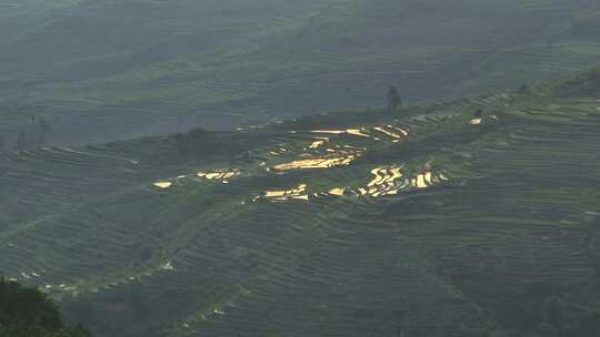 大山梯田视频素材模板下载