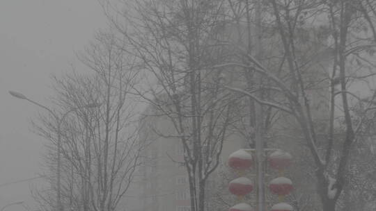 城市大雪出行 城市街道雪景