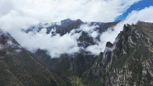 无人机航拍西藏林芝秋天高山林海云雾景观