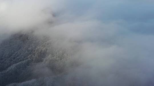 森林-航拍森林-大自然森林云雾-云海雪景