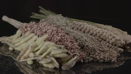 稻黍稷麦菽五谷LOG原生素材影棚拍摄