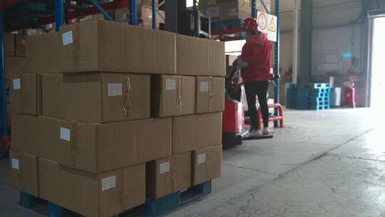 仓库工人搬运货物场景