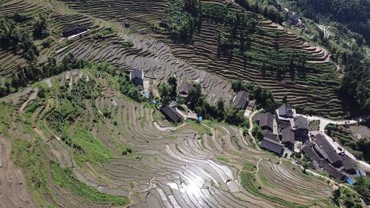 航拍山村田园湖南紫鹊界梯田