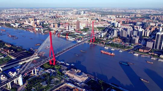 杨浦大桥延时航拍视频素材模板下载