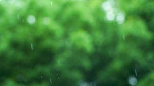 下雨天雨水雨滴散焦森林绿色背景治愈系风景