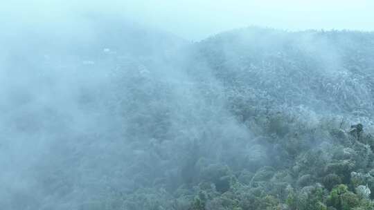 蔡伦竹海旅游风景区