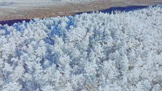 航拍大兴安岭冬日梦幻绝美雾凇雪凇