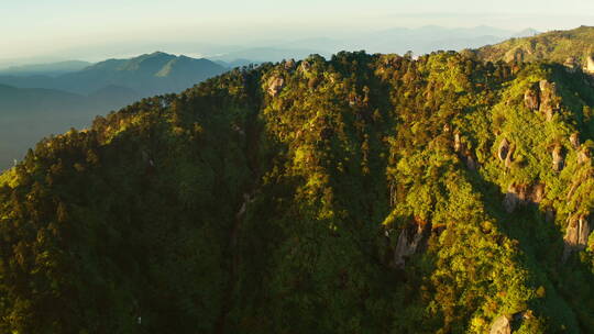 日出山顶 森林