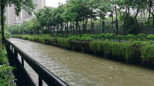 台风海葵登录深圳前