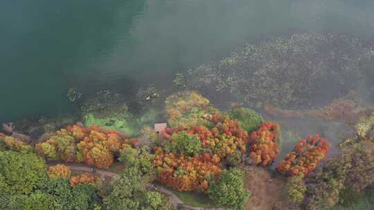 【精品】大理大理洱海秋天风景航拍