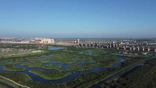 天津市静海区团泊镇生态乡村风光