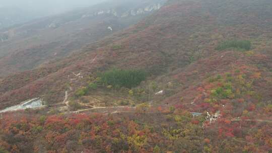 航拍秋季山林红叶景观