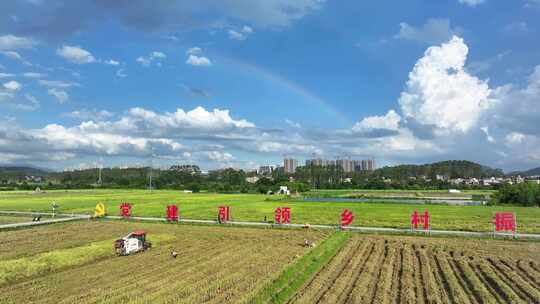 中国广州市增城区丝苗米省级现代农业产业园