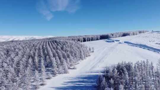 银装素裹的雪山森林壮丽景色